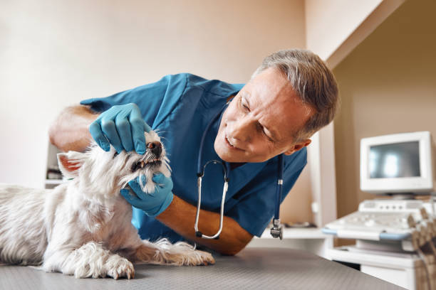 Best Emergency Tooth Extraction in Hood River, OR